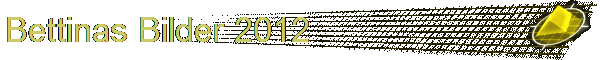 Bettinas Bilder 2012