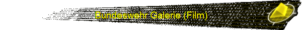 Bundeswehr Galerie (Film)