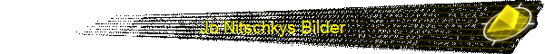 Jo Nitschkys Bilder