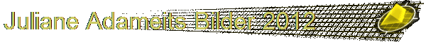 Juliane Adameits Bilder 2012